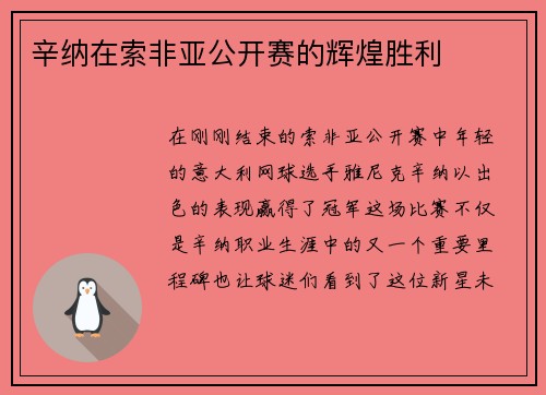 辛纳在索非亚公开赛的辉煌胜利